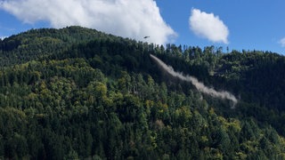 Bodenschutzkalkungen im Wald bei Buchenbach im Kreis Breisgau-Hochschwarzwald.