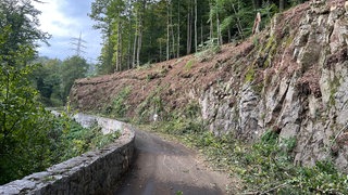 Die Arbeiten zur Felssicherung der Albtalstraße haben begonnen.
