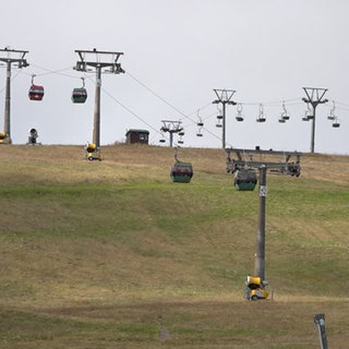 Die (noch) grünen Hänge am Feldberg