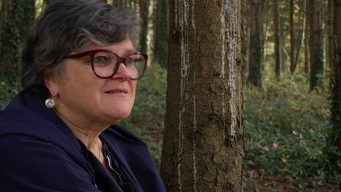 Hündin Tessa lebte sieben Jahre im Wald 