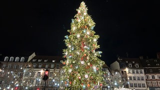 Der Weihnachtsbaum auf dem Straßburger Weihnachtsmarkt 2026. 