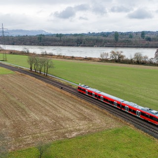 Ein Zug fährt auf der Strecke der Hochrheinbahn zwischen Basel und Erzingen. Im Hintergrund fließt der Rhein.