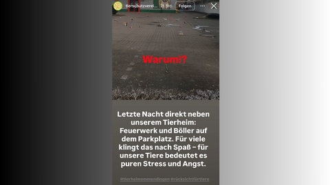 Auf Instagram zeigt das Tierheim Emmendingen seine Bestürzung über die Silvester-Böllerei direkt neben dem Gelände.