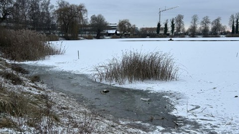 Ein zugefrorener See in Schwanau-Allmannsweier. Hier ist am Dreikönigstag ein Mädchen eingebrochen. Passanten konnten es retten.
