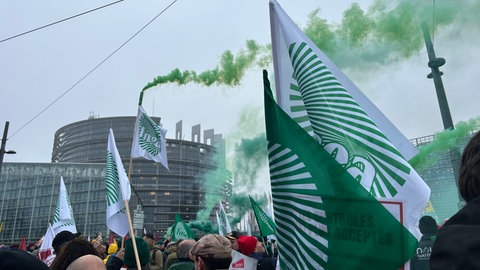 Pyrotechnik bei einer Demo vor dem EU-Parlament
