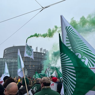 Pyrotechnik bei einer Demo vor dem EU-Parlament