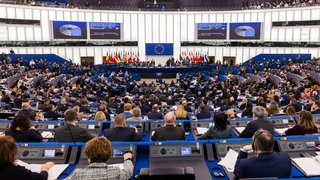 Abgeordnete des Europäischen Parlaments stimmen über eine Überprüfung des Mercosur-Abkommens durch den Europäischen Gerichtshof ab.