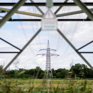 Eine Hochspannungsleitung führt über ein Feld.