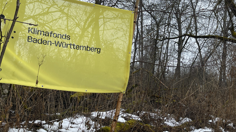 Gut angelegt: Der neue Klimafonds Baden-Württemberg