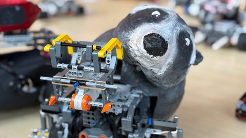 Ein Roboter mit Waschbär-Verkleidung