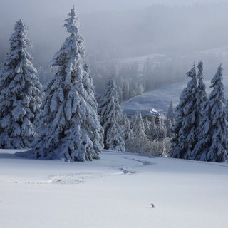 Im Schwarzwald herrscht aktuell erhebliche Lawinengefahr - so die Einschätzung der Bergwacht Schwarzwald. Betroffen sind vor allem Gebiete rund um den Feldberg.