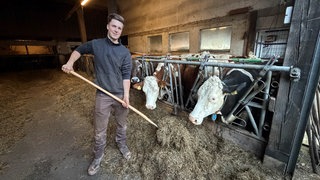 Junglandwirt Osakr Ketterer füttert die Milchkühe im Stall des Vogtjosefhofs in Elzach-Yach. 