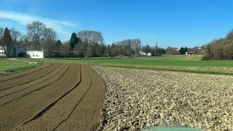 Acker bei Emmendingen