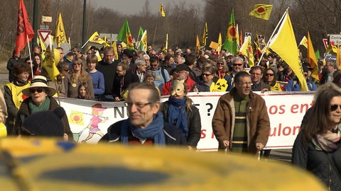 AKW in der Schweiz und Frankreich: Atomkraftgegner demonstrieren für eine Abschaltung. 
