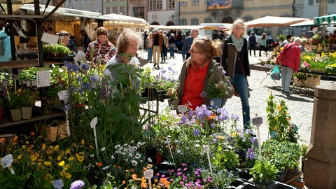 Ein Blumenstand auf dem Freiburger Münstermarkt.