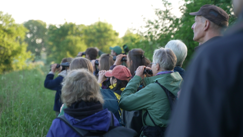 Eine Gruppe an Menschen nimmt an einer Vogelbeobachtungs-Tour teil. Mithilfe eines Fernglases versuchen sie ein paar Vögel aus der Ferne zu sehen.