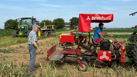Eine spezielle Erntemaschine erleichtert Landwirt Michael Fehr die Knoblauchernte enorm. 
