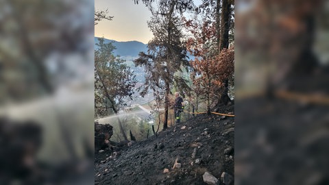 Waldbrand in Zell am Hamersbach. Rund 600 Einsatzkräfte der Feuerwehr waren im Einsatz.