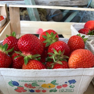 Erdbeeren vom Bodensee