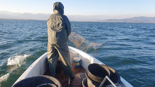 Ein Fischer auf dem Bodensee. Er holt im Sonnenaufgang seine Netze ein.