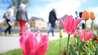 Landesgartenschau in Wangen im Allgäu erlebt zum Auftakt Besucheransturm