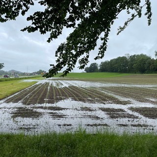 Ein Acker steht unter Wasser.