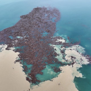 Treibholz schwimmt nach der Mündung der Argen im Bodensee. Durch das Hochwasser wurden Baumstämme und Bruchholz in den Bodensee geschwemmt. Treibholz kann die Schifffahrt auf dem Bodensee gefährden.