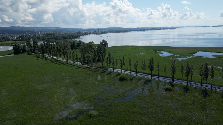Hochwasser am Bodensee - Am Untersee bei Radolfzell sind weite Teile des Ufers unter Wasser.