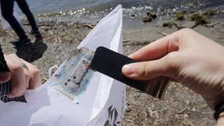 Freiwillige sammeln Müll bei den Bodensee CleanUP Days.