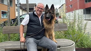 Hündin Ayla und ihr Besitzer sitzen auf einer Bank