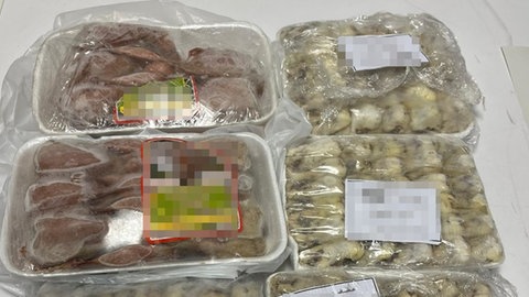 Der Zoll hat 130 tiefgefroeren Singvögel am Flughafen Friedrichshafen beschlagnahmt. 