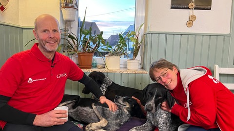 Wolfgang Steck ist Deutscher Meister im Dogscooter-Rennen