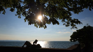 Urlaub am Bodensee ist auch 2024 wieder attraktiv gewesen - vor allem im Hegau.