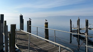 Sonnenschein im Februar am Bodensee in Überlingen