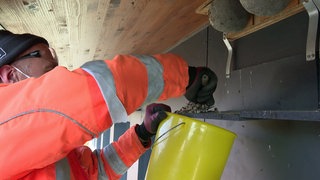 Ein Mann kehrt Dreck unter einem Schwalbennest in einen Eimer