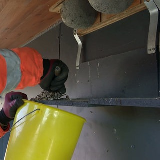 Ein Mann kehrt Dreck unter einem Schwalbennest in einen Eimer