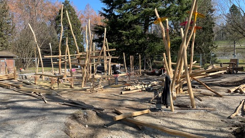 Auf dem Bild sieht man eine Kugelbahn aus Holzstämmen.