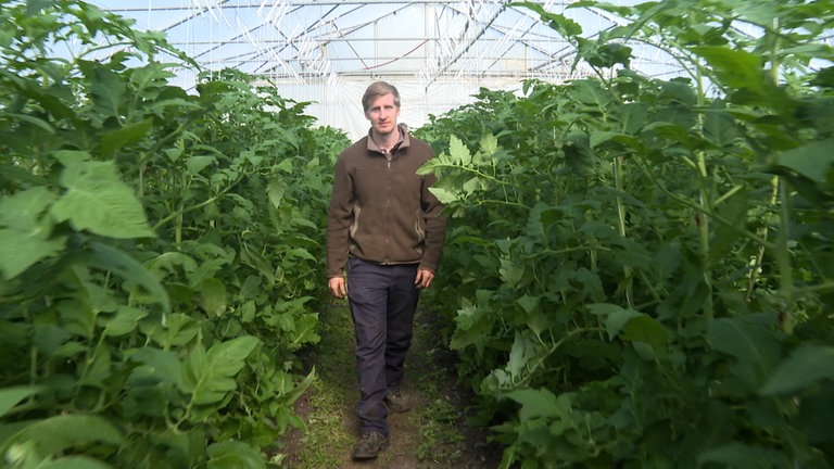 Gemüsehof in Singen macht veganes Gemüse