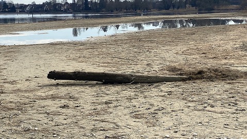 Bodensee im Frühling 2025: Kein Regen in Sicht, niedrige Wasserstände