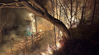 Der Wald beim Breitenberg nahe Hohenems stand am Freitagabend in Flammen.