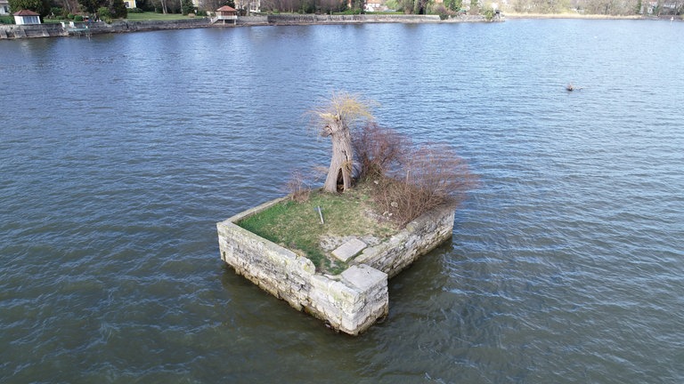 Die Insel Hoy im Bodensee im Jahr 2020. Damals war die Mauer unbeschädigt, die Weide hat aber bereits ihren Hauptast verloren.