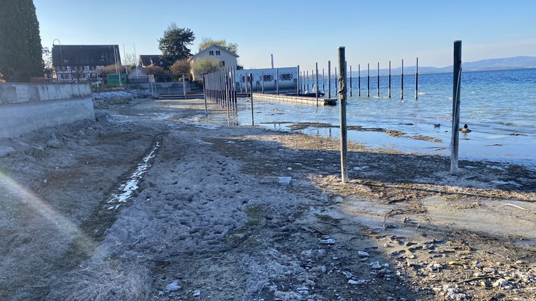 Extremes Niedrigwasser herrscht Anfang April 2025 in den Häfen am Untersee.