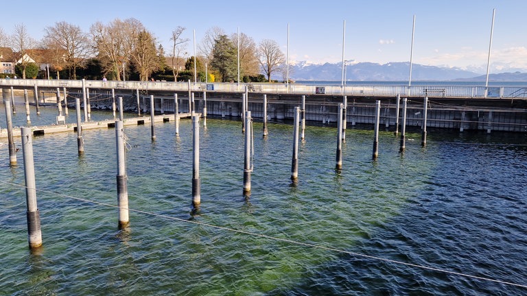 Wenig Wasser Anfang April 2025 im Bodensee, hier im Hafen von Nonnenhorn (Kreis Lindau).