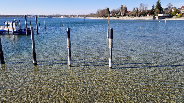 Wenig Wasser Anfang April 2025 im Bodensee, hier im Hafen von Nonnenhorn (Kreis Lindau).