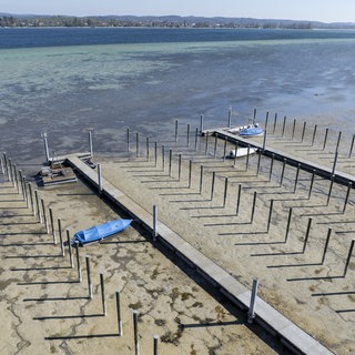 Gestrandete Schiffe liegen am Untersee. Im westlichen Teil des Bodensees ist der Wasserstand wegen anhaltender Trockenheit extrem niedrig.