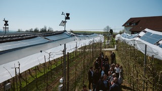 In Berg in Oberschwaben ist eine neuartige, günstige Agri-Photovoltaik-Anlage vorgestellt worden.
