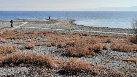 Niedrigwasser am Bodensee bei Konstanz im März 2023.