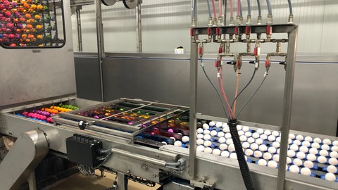 Bei der Firma Zembrot in Bad Schussenried in der Eierfärbemaschine aus weißen Hühnereiern bunte Ostereier