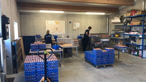 Claudia und Tobias Ray verpacken Eier in Kartons in ihrem Betrieb in Wangen-Haslach