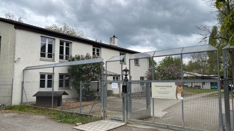 Das Tierheim in Konstanz.